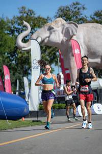 BIB: 
                            <button type="button" onclick="openModal(26544586)" class="btn btn-primary btn-sm float-right btn-popup" data-toggle="modal" data-target=".modal-high-quality">
                        <i class="fas fa-shopping-cart"></i> Add to Cart
                    </button>
                                            <button type="button" onclick="isThisMe(26544586, true)" class="btn btn-success btn-sm float-right btn-popup btn-isme hidden" data-toggle="tooltip" data-placement="bottom" title="นี่คือรูปของคุณใช่ไหม คลิกที่นี่เพื่อเอาเข้าอัลบั้ม">
                        <i class="fas fa-plus"></i> Add to album
                    </button>
                    <button type="button" onclick="isThisMe(26544586, false)" class="btn btn-warning btn-sm float-right btn-popup btn-isnotme hidden">
                        <i class="fas fa-ban"></i> Remove from album
                    </button>